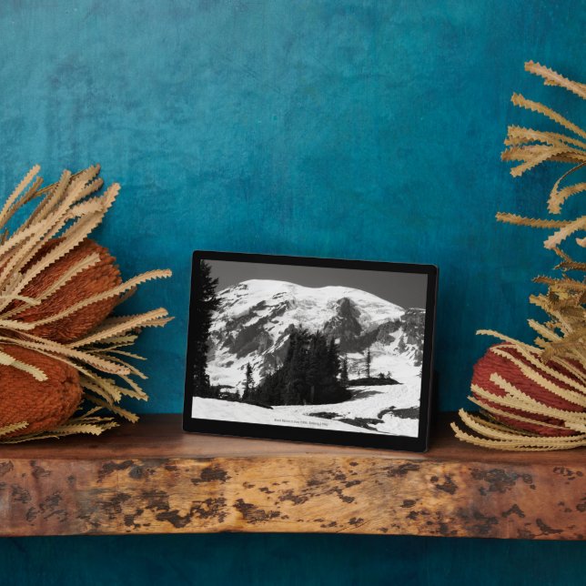 Rainier im Juni Fotoplatte (Seite)