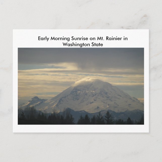 Rainier in Washington Staat Postcard Postkarte (Vorderseite)