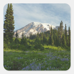 Rainier Morning Light Quadratischer Aufkleber