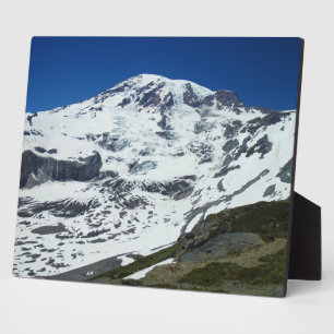 Rainier P555 Fotoplatte