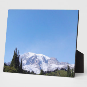 Rainier PDSC213 Fotoplatte