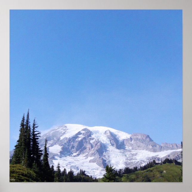 Rainier PDSC213 Poster (Vorne)
