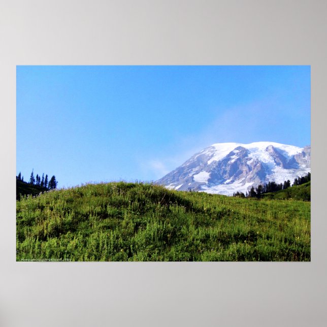 Rainier PDSC230 Poster (Vorne)