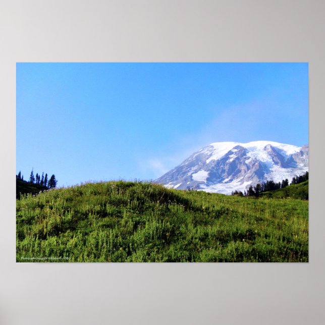 Rainier PDSC230 Poster (Vorne)