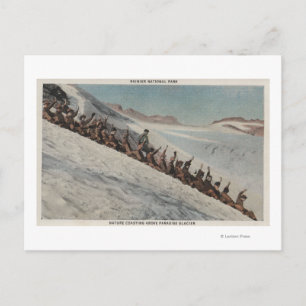 Rainier, WA - Reihe von Personen Postkarte