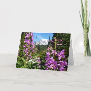 Rainier zwischen Lila Phlox-Blume Karte