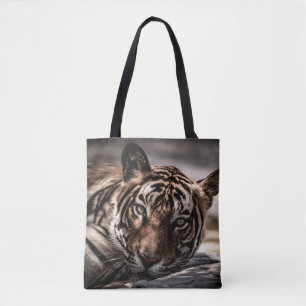 Rainthambourde wilde männliche Tigerin Fine Art Bi
