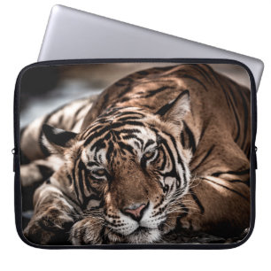Rainthambourde wilde männliche Tigerin Fine Art Bi Laptopschutzhülle