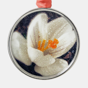 Rainy Day Crocus Blume Ornament Aus Metall