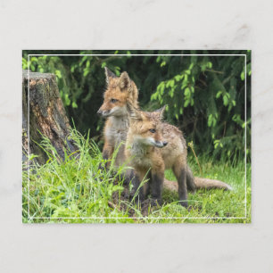 Rainy Day Friends Postkarte