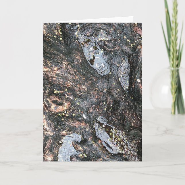 Rainy Day Tree Roots Puddle Nature Fotografy Karte (Vorderseite)