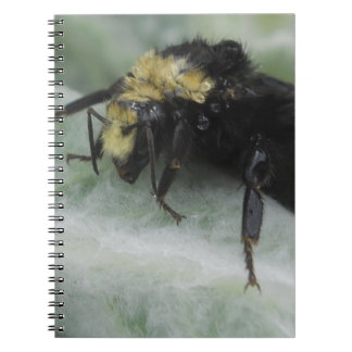 Rainy Days Notizblock