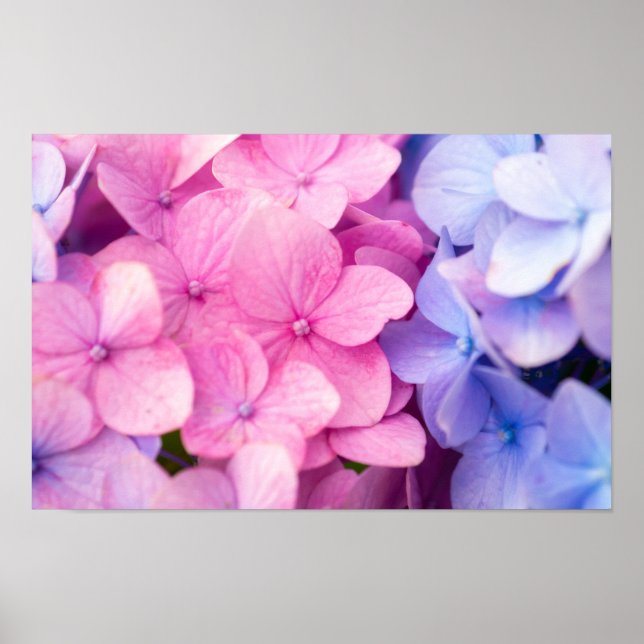 Rainy Days Poster (Vorne)