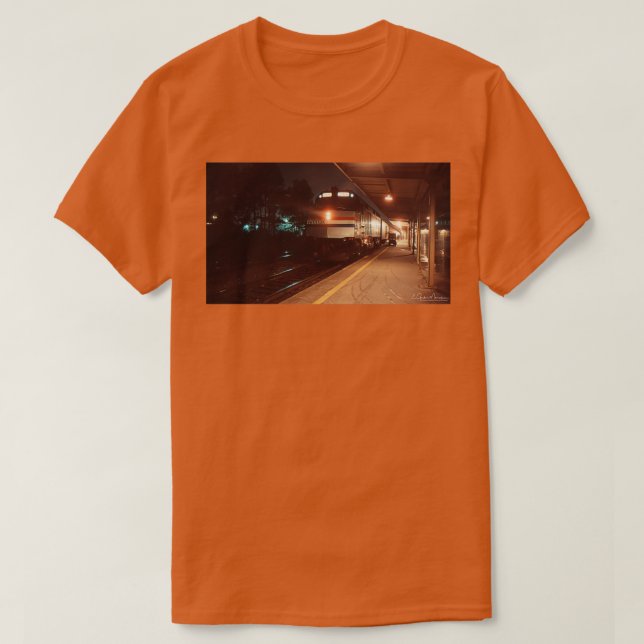 Rainy Silvester T-Shirt (Design vorne)