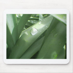 Rainy Spring Mousepad