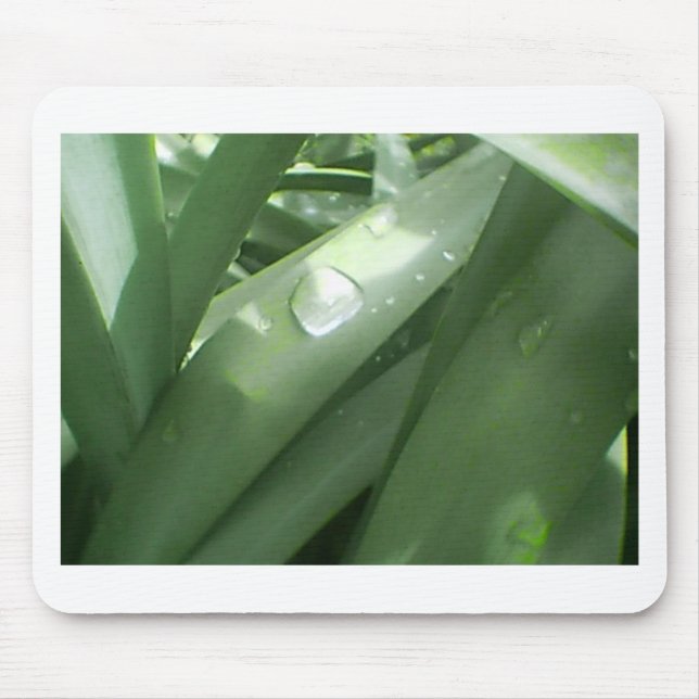 Rainy Spring Mousepad (Vorne)