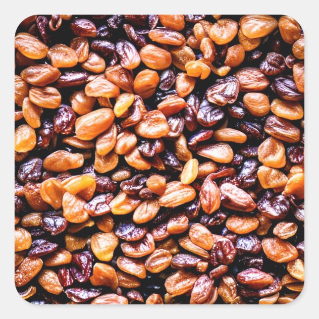 Raisins Quadratischer Aufkleber (Vorderseite)