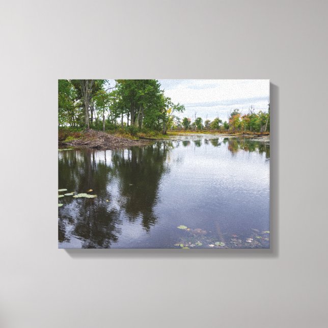 Raketenabfluss durch die Schutzhütte Leinwanddruck (Vorderseite)