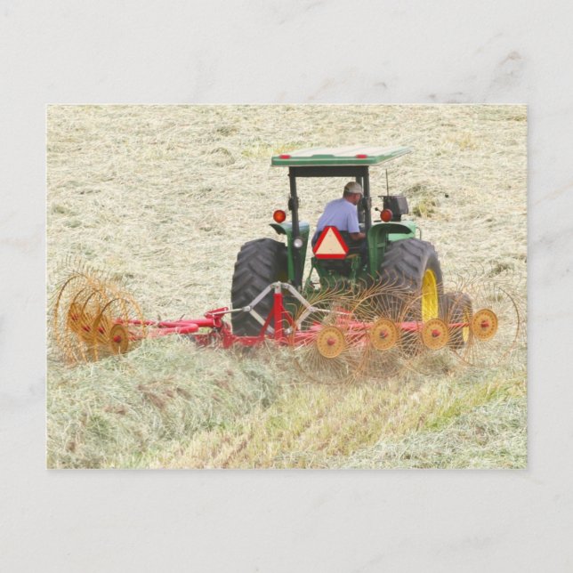Raking Hay an einem Sommertag Postkarte (Vorderseite)