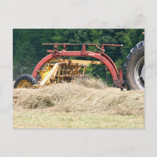 Raking Hay mit einem alten, gezogenen Rake Postkarte