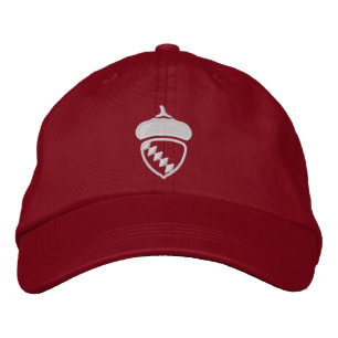 Raleigh-Flag-Hut bestickt Bestickte Baseballkappe