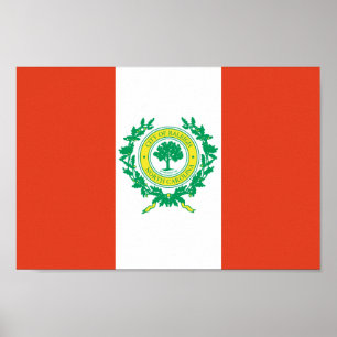 Raleigh, North Carolina Flag Poster