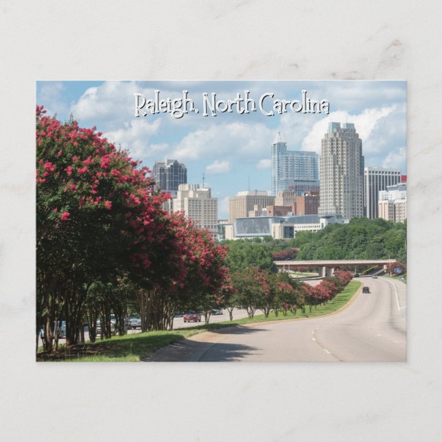 Raleigh, North Carolina Postcard Postkarte (Vorderseite)