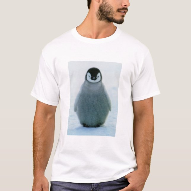 Ralph T-Shirt (Vorderseite)