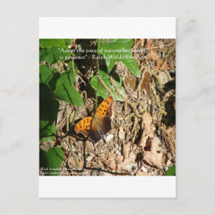 Ralph W Emerson "Pace Of Nature" Weisheitszitat Ge Postkarte
