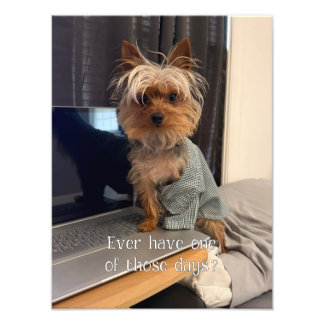 Ralphie der Teacup Yorkie - Einer dieser Tage Fotodruck