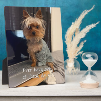 Ralphie der Teacup Yorkie - Einer jener Tage Fotoplatte