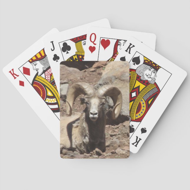 Ram Cards Spielkarten (Rückseite)