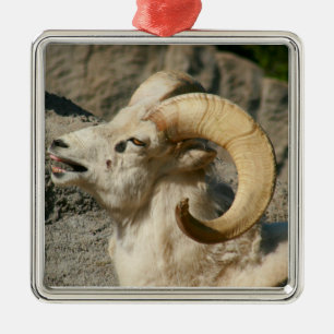 Ram oder Bighorn Sheep Laghing Silbernes Ornament