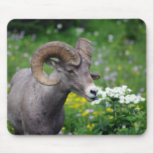 RAM - Riechen der Blumen Mousepad
