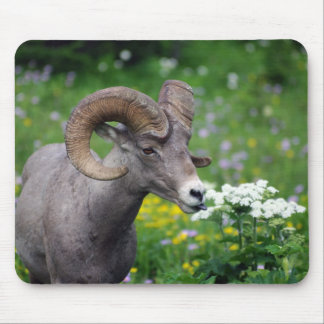 RAM - Riechen der Blumen Mousepad