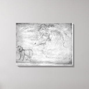 RAM und Kopf eines RAMs Leinwanddruck