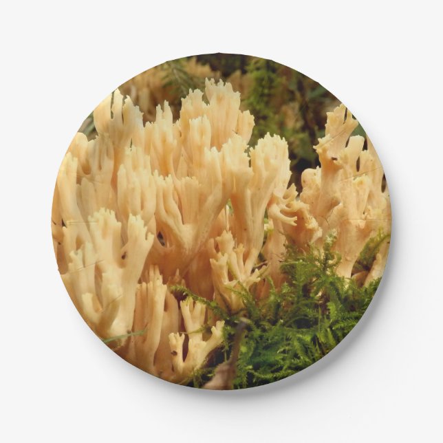 Ramaria stricta Fungi Paper Tellers Pappteller (Vorderseite)