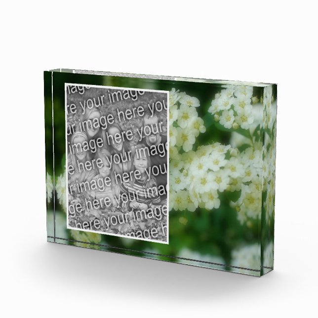 Rambling Wild White Roses hinzufügen Ihre eigene Fotoblock (Rechts)