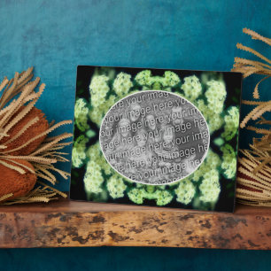 Rambling Wilde White Roses kreieren Ihr eigenes Fo Fotoplatte