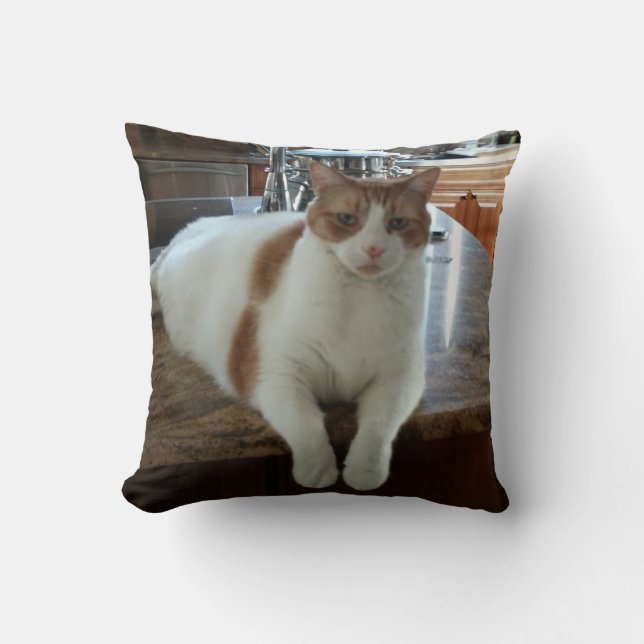 Rambo Miezekatze Kissen (Vorderseite)