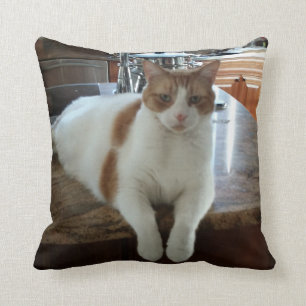 Rambo Miezekatze Kissen