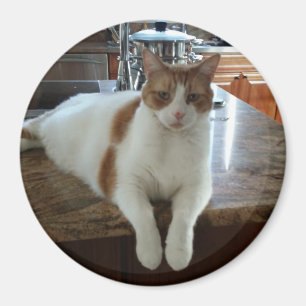 Rambo - Orange Kitty Magnet