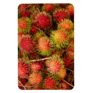 Rambutan-Frucht auf dem Can Duoc-Markt Magnet