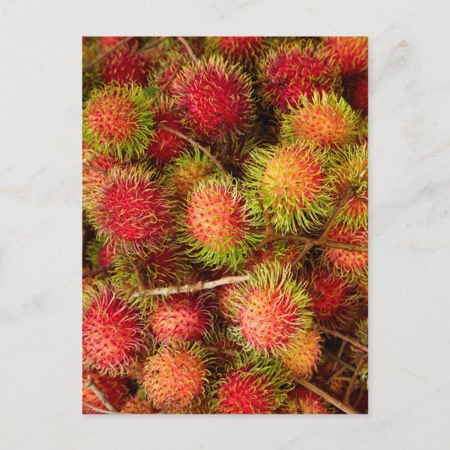 Rambutan Fruit auf dem Can Duoc Market Postkarte (Vorderseite)