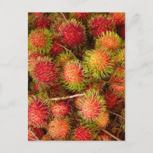 Rambutan Fruit auf dem Can Duoc Market Postkarte