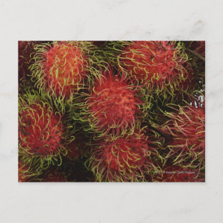 Rambutan Postkarte