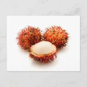 Rambutan Postkarte