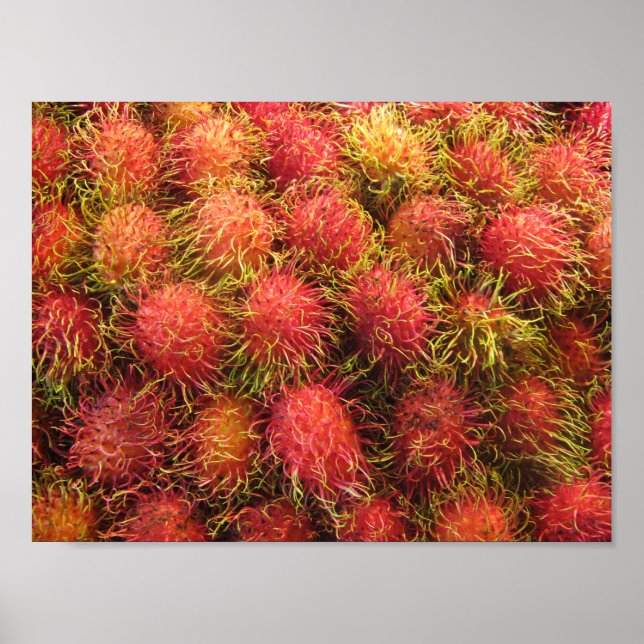 Rambutan Tropical Fruit Poster (Vorne)