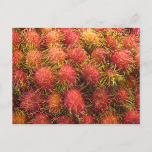 Rambutan Tropical Fruit Postkarte