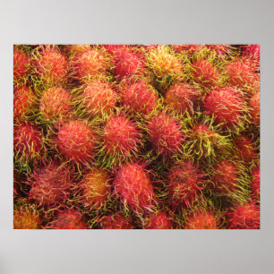 Rambutan Tropische Frucht Poster